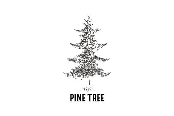 Download Vintage Pine Tree Logo Design - Vintage pine Collection